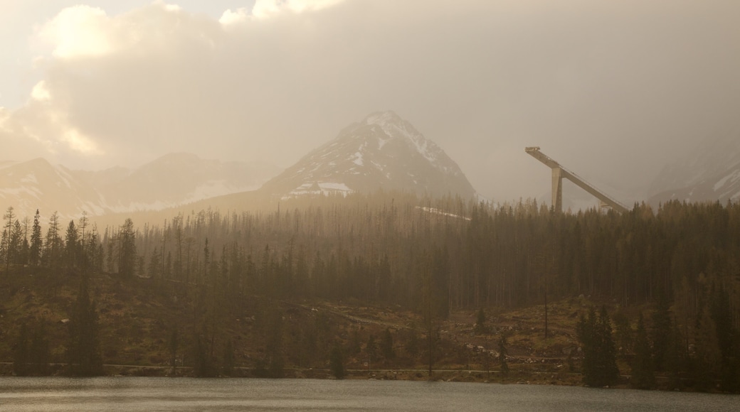 Eslovaquia mostrando imágenes de bosques, escenas tranquilas y niebla o neblina