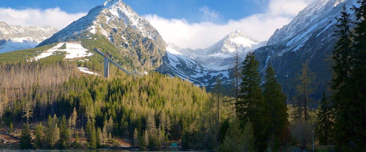 Strbske Pleso showing a lake or waterhole, mountains and forests