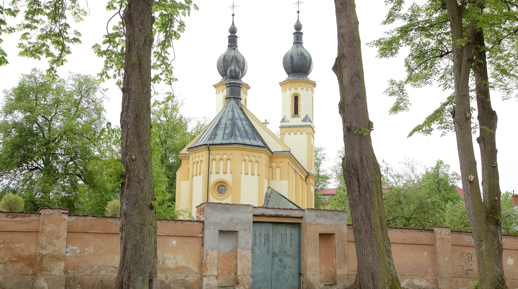 Bardejov welches beinhaltet Geschichtliches und Park