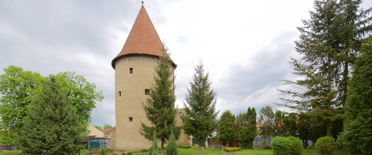 Bardejov which includes a garden and heritage elements