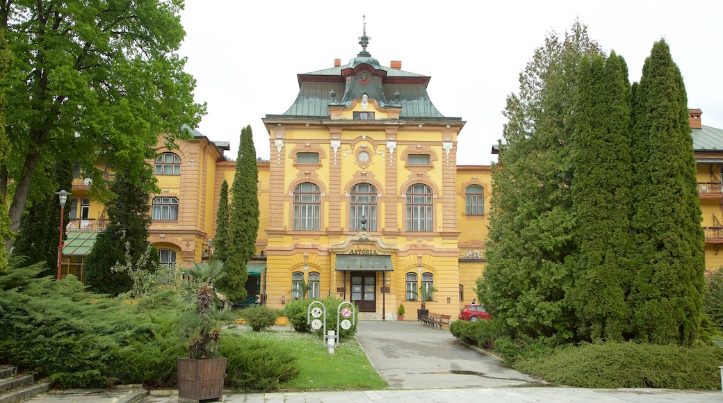 Bardejov showing a garden