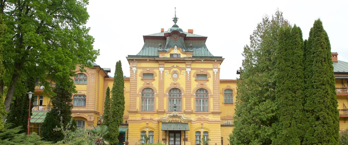 Bardejov which includes a garden