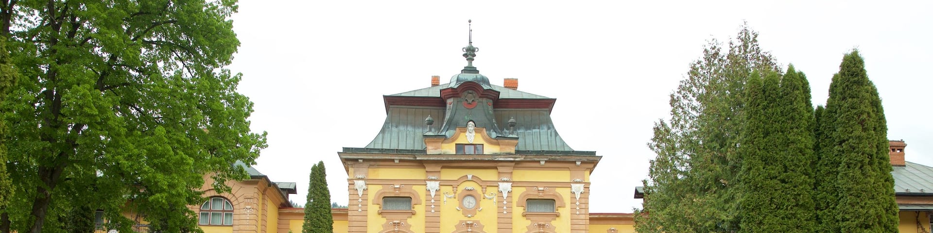 Bardejov which includes a garden