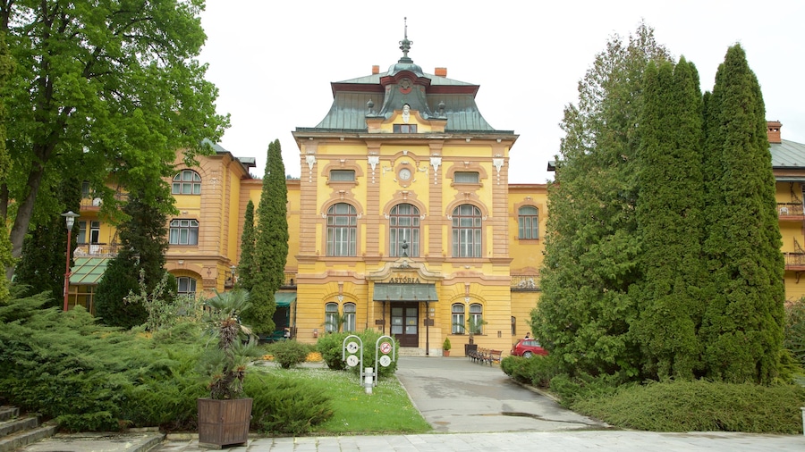 Bardejov featuring a park