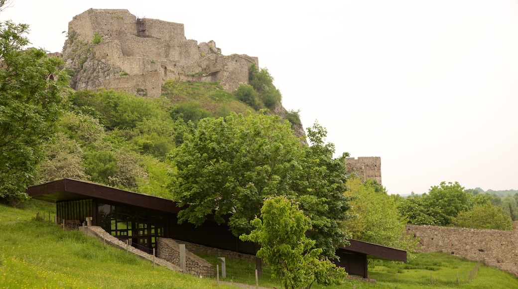 Devin-slottet presenterar chateau eller palats, en park och ruiner