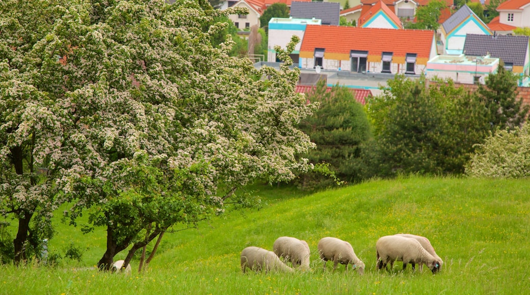 Devin-slottet som inkluderar en stad och åkrar