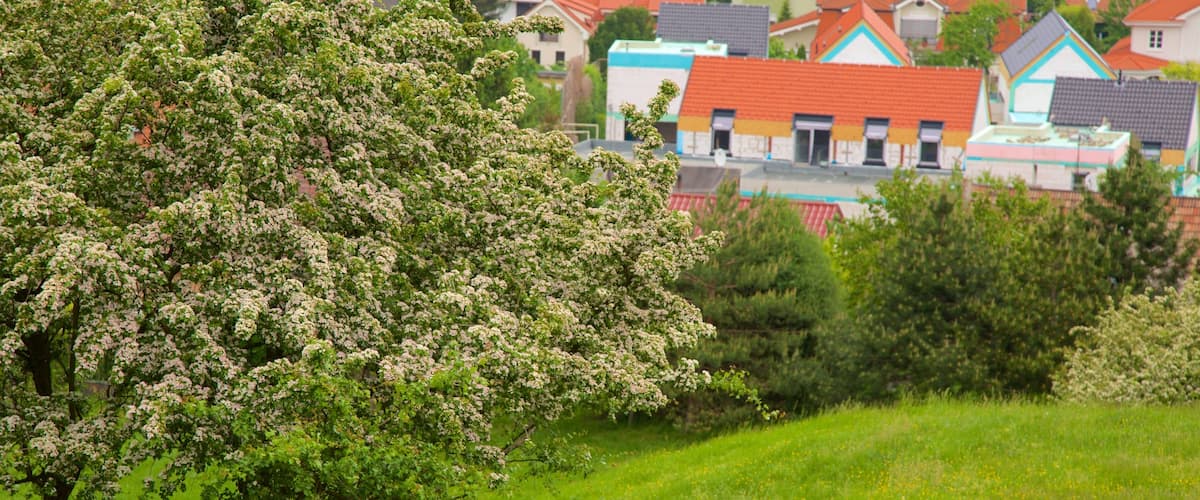Devin Castle which includes a city and farmland