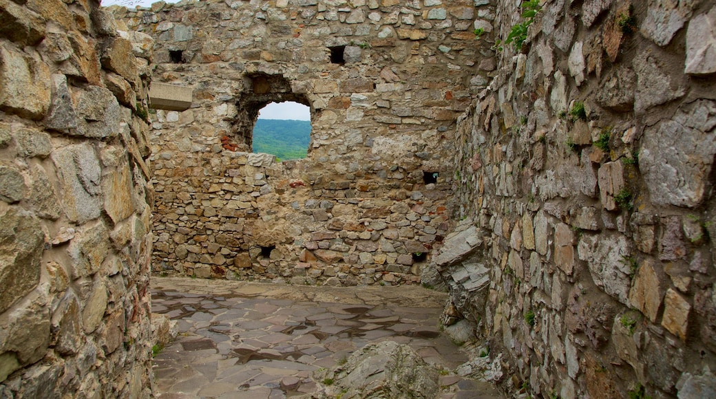 Devin Castle showing heritage elements, a ruin and a castle