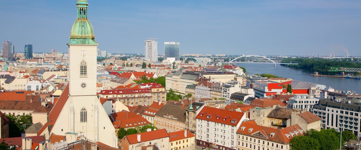 St. Martin\'s Cathedral showing a city and a church or cathedral