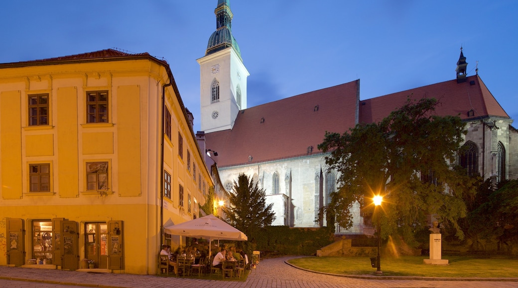 St. Martin\'s Cathedral showing a city, night scenes and a church or cathedral