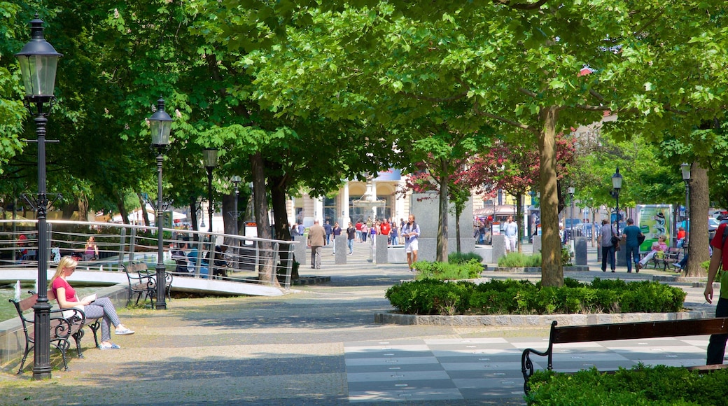 Hviezdoslavovo-torget fasiliteter samt torg eller plass og hage