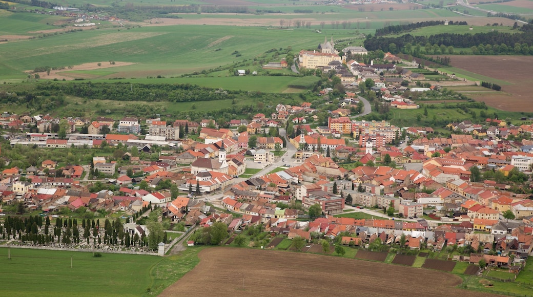 Spissky Castle showing a city and farmland