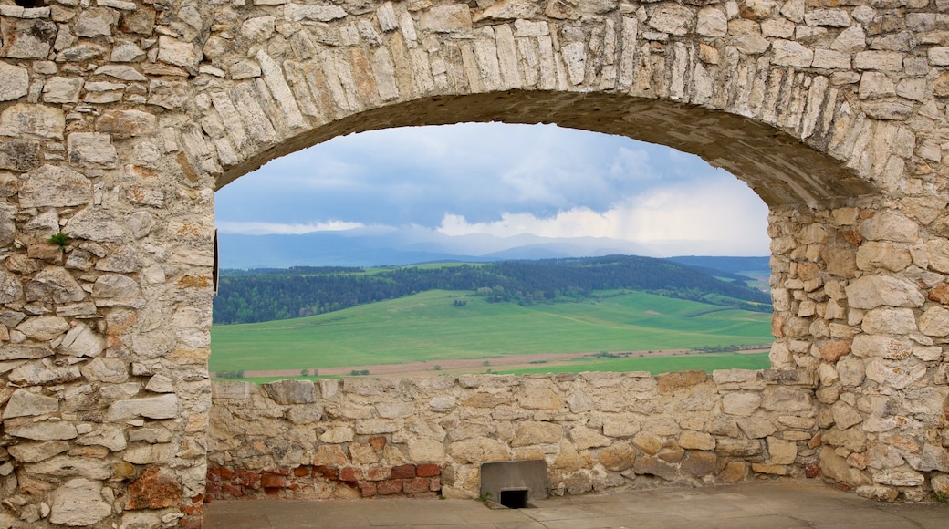 Castillo de Spissky ofreciendo un castillo, tierras de cultivo y una ruina