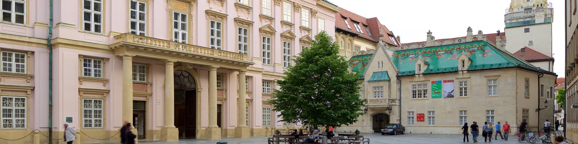 Primate\'s Palace showing a square or plaza, a city and heritage elements