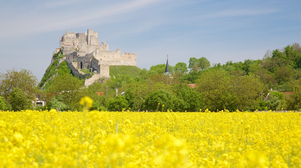 Slovaquie mettant en vedette ferme, bâtiments en ruines et château