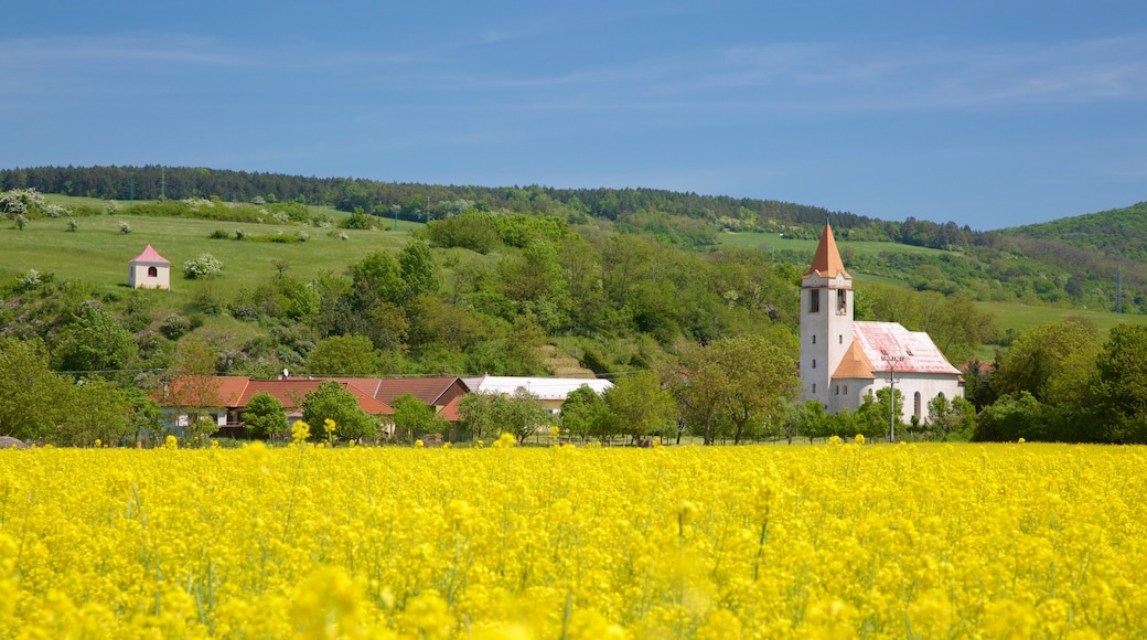 Slovakien som visar en kyrka eller katedral och åkrar