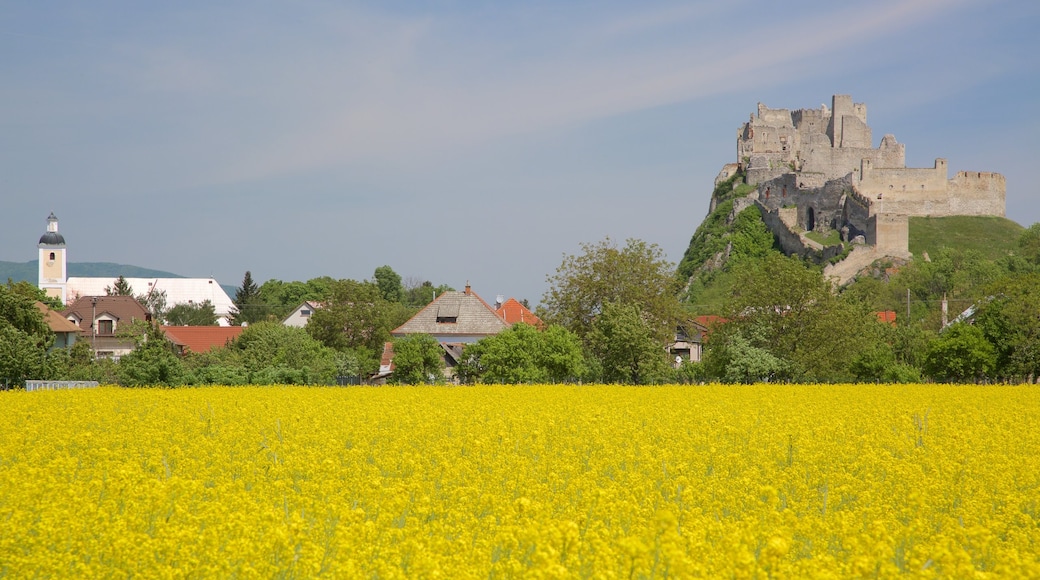 Eslovaquia mostrando palacio, tierra de cultivo y ruinas de edificios