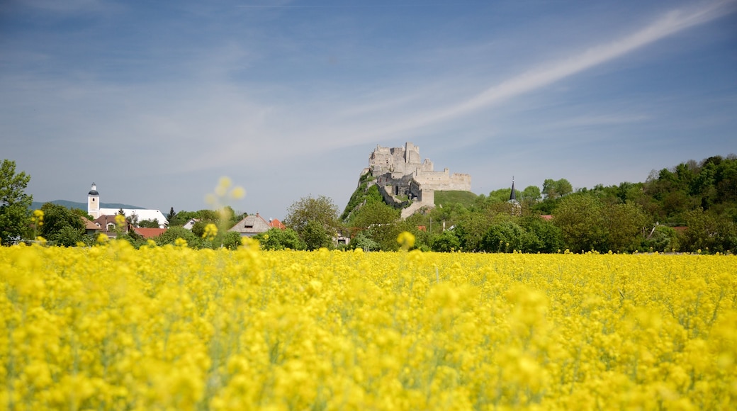 Slovakia featuring farmland, a ruin and château or palace