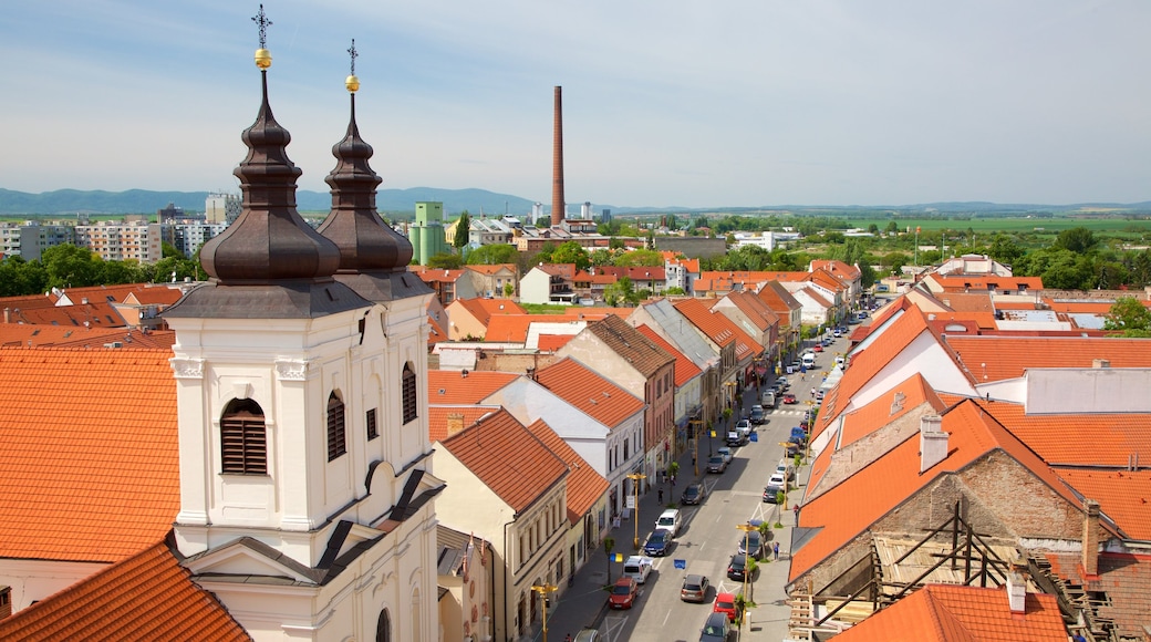 Trnava og byder på en kirke eller en katedral og en by