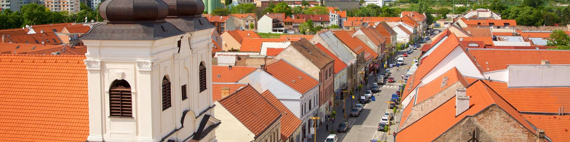 Trnava which includes a church or cathedral and a city