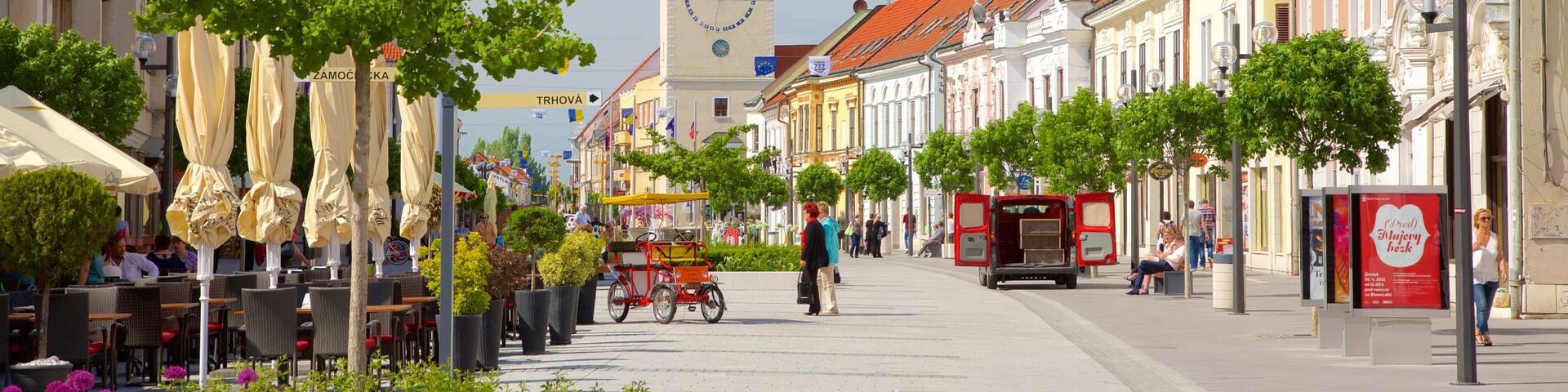 Slovakia which includes street scenes and a square or plaza