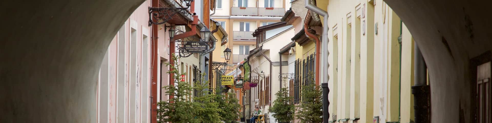 Kosice showing street scenes