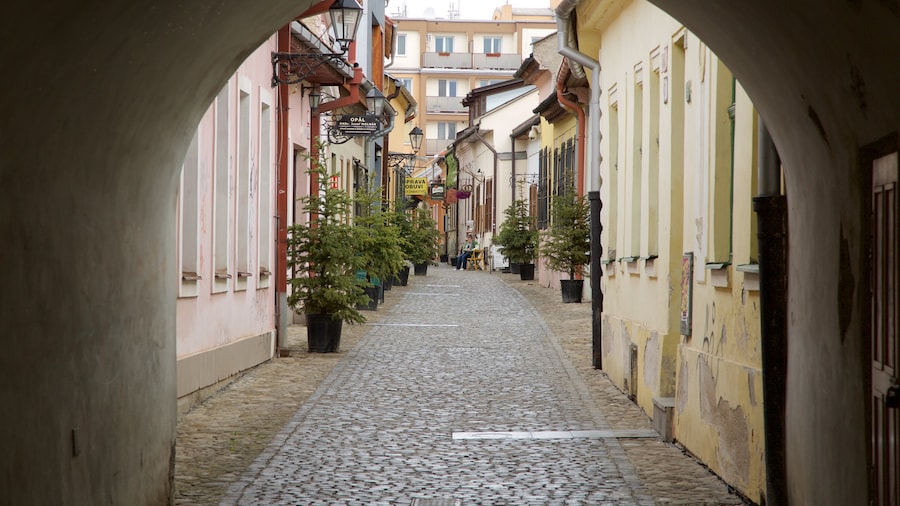 Kosice som visar gatuliv