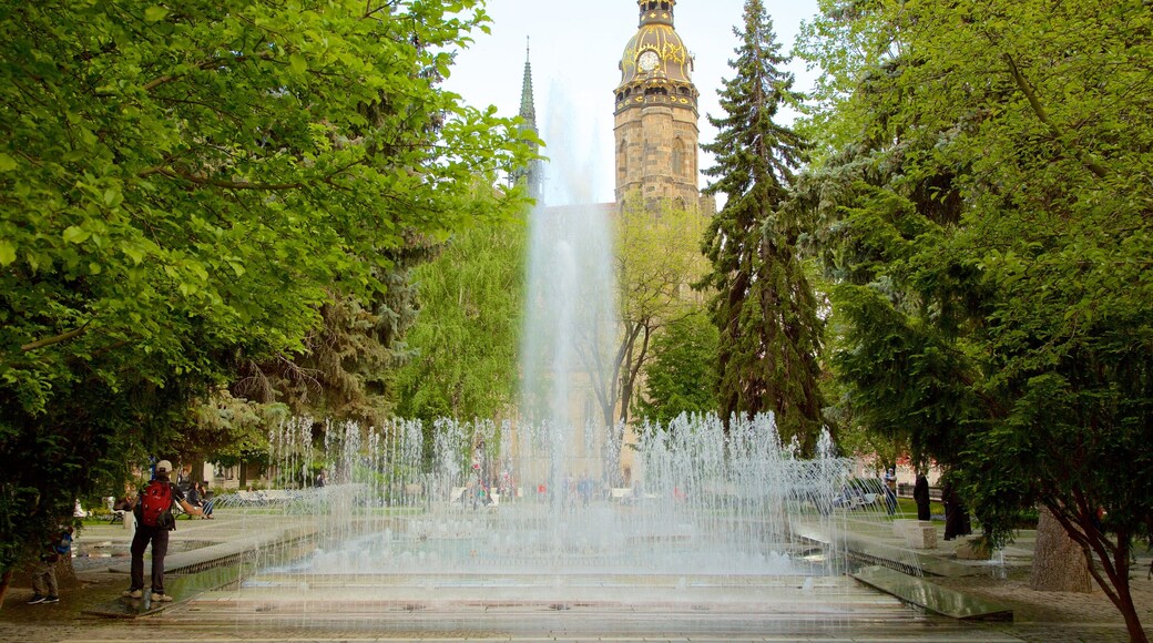 Kosice toont een tuin en een fontein