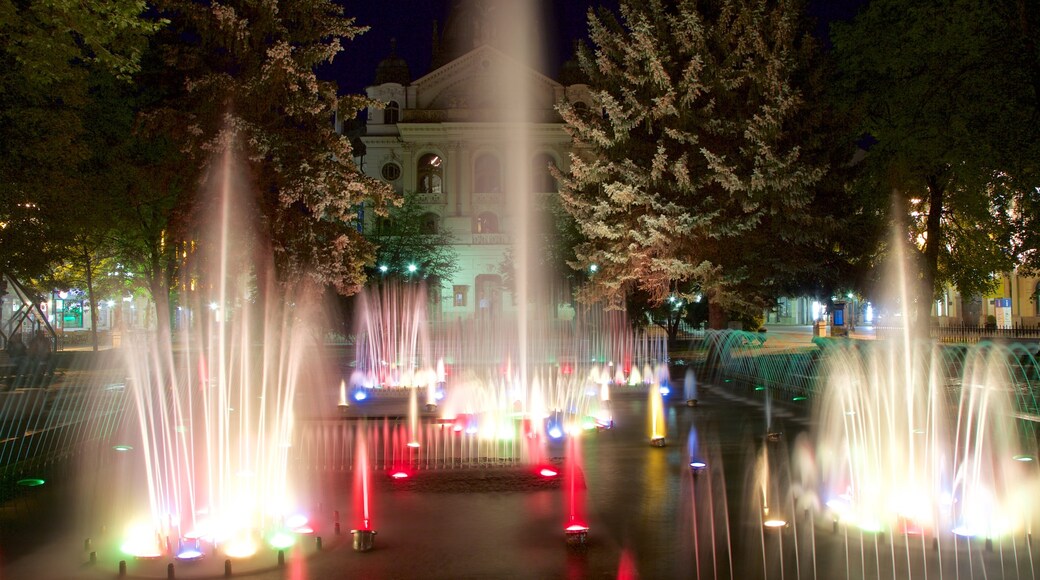 Kosice toont een fontein en nachtleven