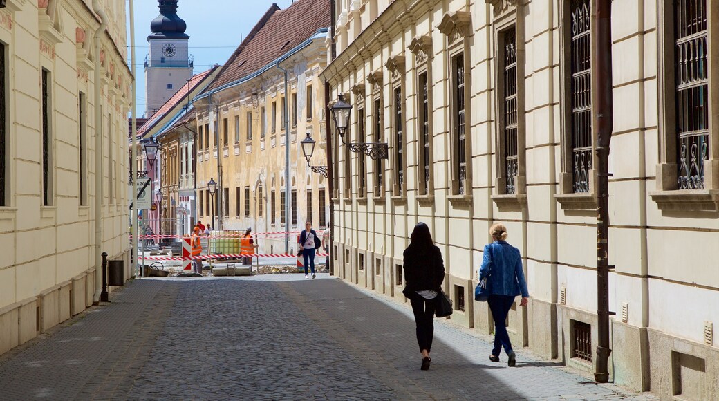 Slovakia featuring street scenes