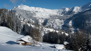 Verbier mostrando nieve, bosques y una casa