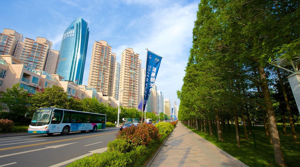 Qingdao showing a city, a skyscraper and street scenes