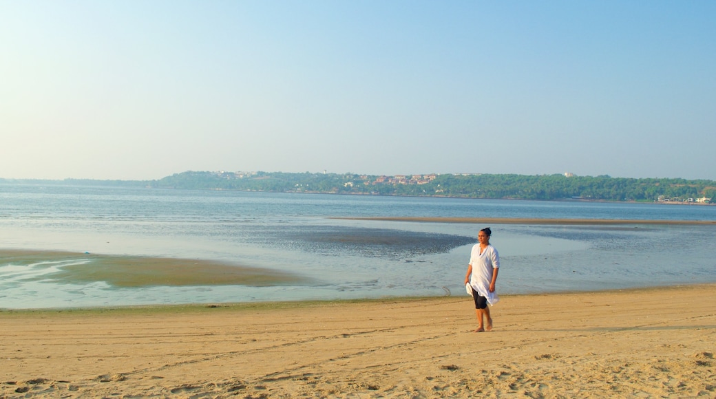 Plage de Miramar montrant plage de sable et vues littorales aussi bien que femme