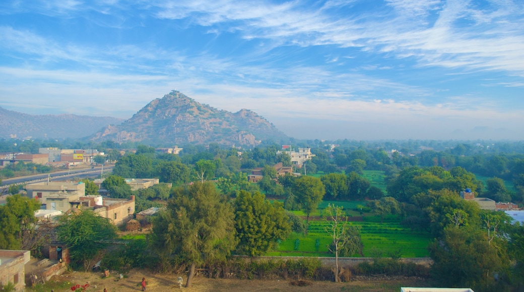 Jaipur que incluye tierras de cultivo, montañas y una pequeña ciudad o pueblo