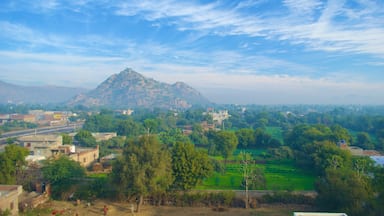 Jaipur che include terreno coltivato, piccola città o villaggio e montagna