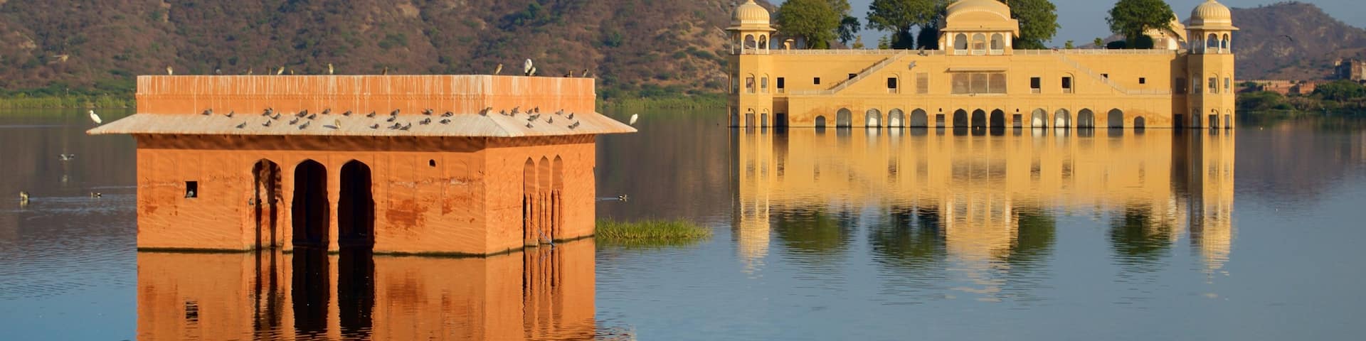 Jal Mahal featuring a lake or waterhole
