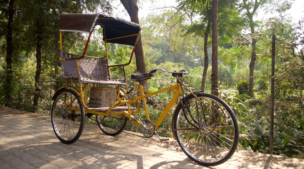 Chini ka Rauza mostrando bicicletta