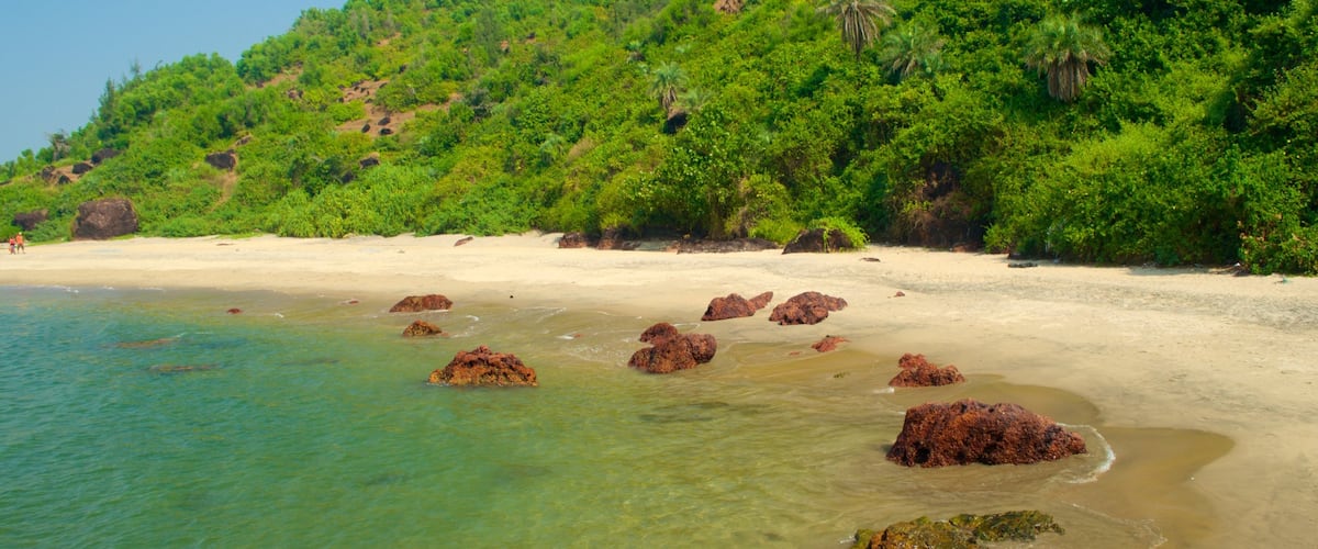 Querim Beach ofreciendo escenas tropicales, una playa y vistas generales de la costa