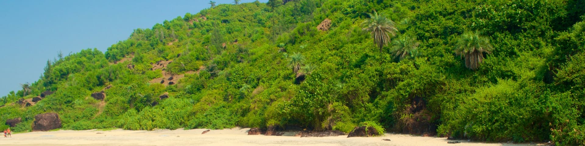 Querim Beach showing tropical scenes, a sandy beach and general coastal views