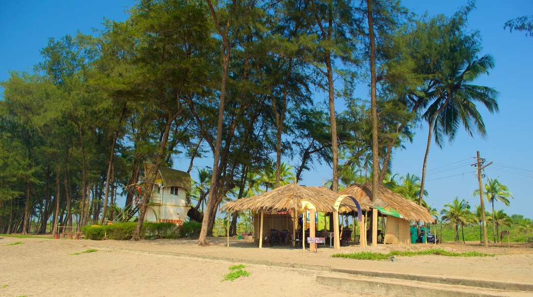 Praia de Querim que inclui cenas tropicais, uma praia e uma cidade pequena ou vila