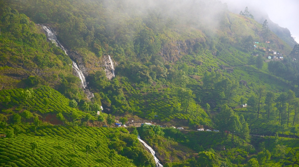 Munnar which includes mist or fog and mountains