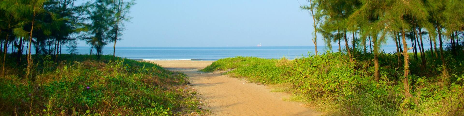 Plage de Miramar qui includes plage, vues littorales et scĂšnes forestiĂšres