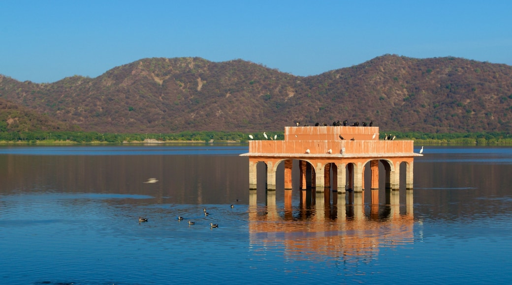 Jal Mahal which includes a lake or waterhole