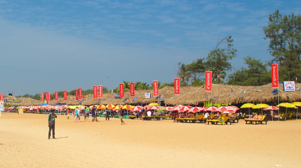 Calangute Beach featuring a sandy beach and a beach bar