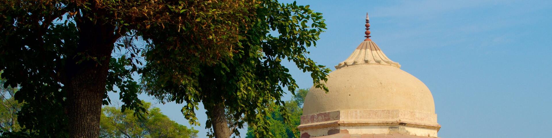 Ram Bagh showing a castle and a garden