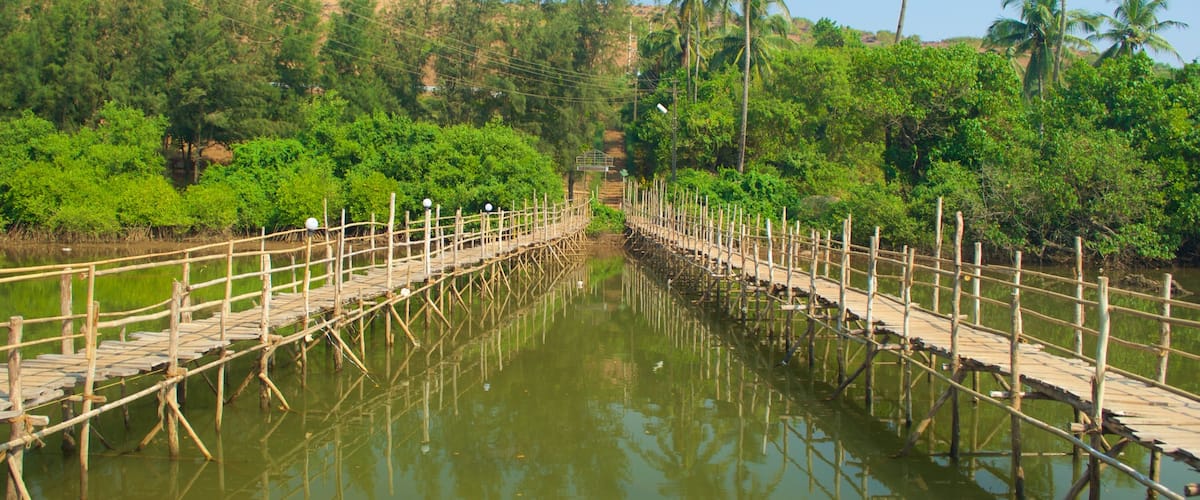 Mandrem Beach which includes a river or creek and forest scenes