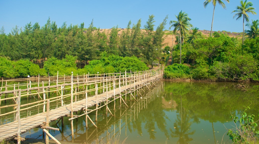 Mandrem Beach featuring a river or creek and forests