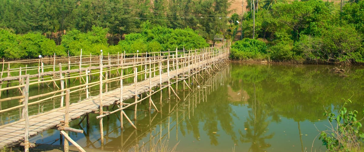 Mandrem Beach featuring a river or creek and forests