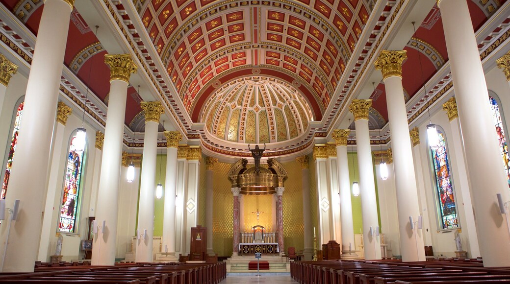 Cathedral of the Immaculate Conception mostrando patrimonio de arquitectura, una iglesia o catedral y vistas interiores