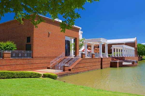 Montgomery Museum of Fine Arts featuring heritage architecture and a pond